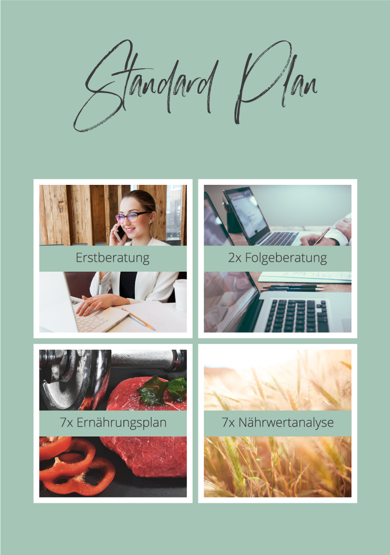 Standard-Plan